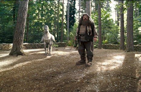 Hagrid stands in a walled in clearing in the forest, Buckbeak stands behind him